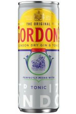 Gordons Gin Tonic 12X25CL