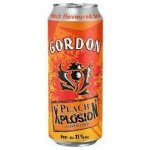 Gordon xplosion peach 50cl