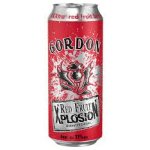 Gordon Xplosion Redfruits 50CL