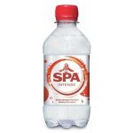 Spa Bruis PET 24x33cl