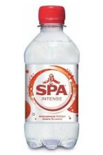 Spa Bruis PET 24x33cl