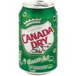 Canada Dry Ginger Ale 24x33cl