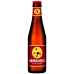 Maneblusser 24x33cl